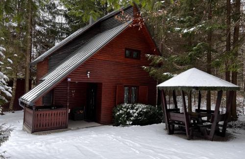 Izvoru Muresului Ski Chalet | Cabana Adrienne