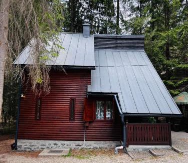 Izvoru Muresului Ski Chalet | Cabana Adrienne