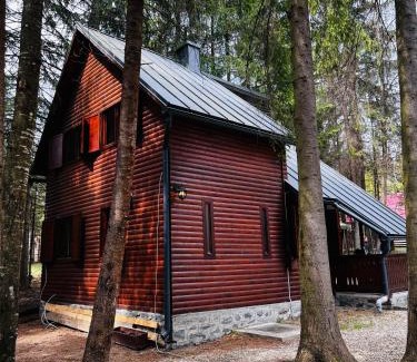 Izvoru Muresului Ski Chalet | Cabana Adrienne