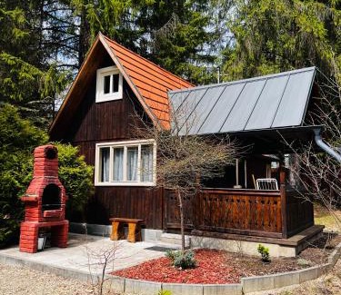 Izvoru Muresului Ski Chalet | Cabana Adrienne