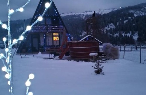 Vatra Dornei Cabin | Cabana Alpin