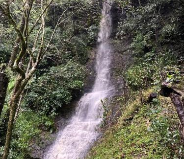 Alfredo Wagner House | Cabana Amor Perfeito