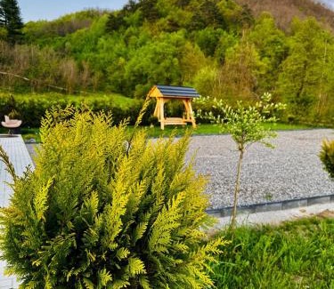 Nanesti Ski Chalet | Cabana Ana Barsana