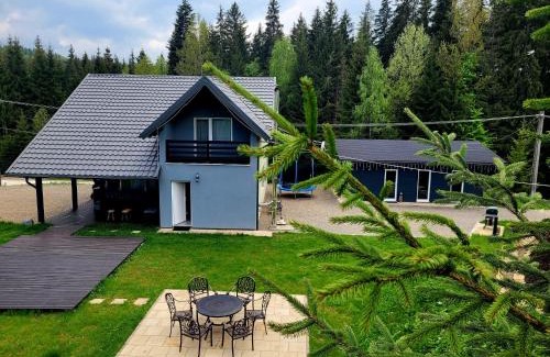 Dorna Candrenilor House | Cabana Brazilor