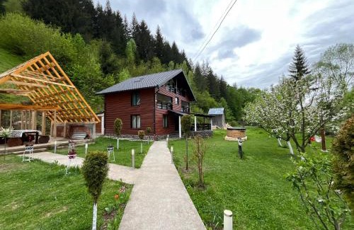 Borsa Cabin | Cabana Briana
