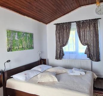 Moieciu Ski Chalet | Cabana Bujor de Munte