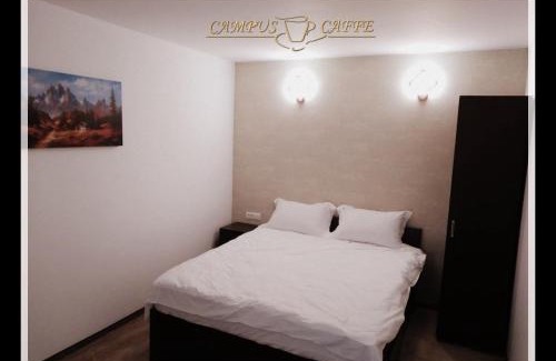 Sarulesti Villa | Cabana Campus Caffe