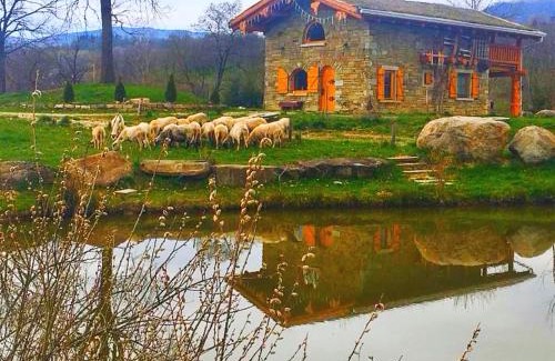 Desesti Cabin | Cabana Casa de Piatra, de la Mara