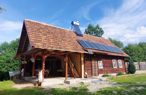 Arpasu de Sus House | CABANA CASA LU'BACIU