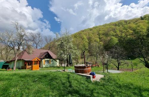 Blidari Cabin | Cabana Ciupercuța