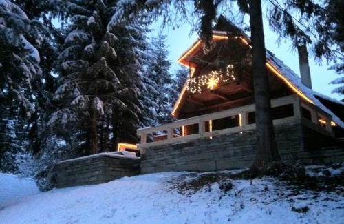 Viseu de Sus Ski Chalet | Cabana Craita