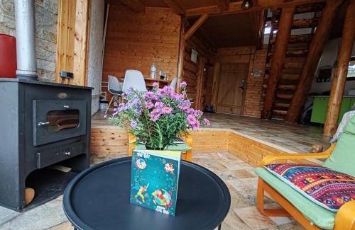 Vama Ski Chalet | Cabana cu hamac