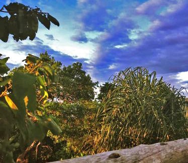 Palhoca House | Cabana da Bruxa