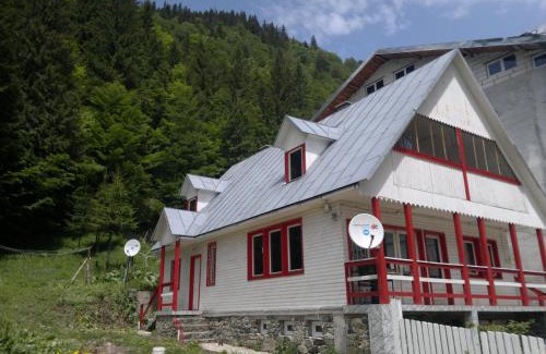 Capatanenii Pamanteni Cabin | Cabana Dara