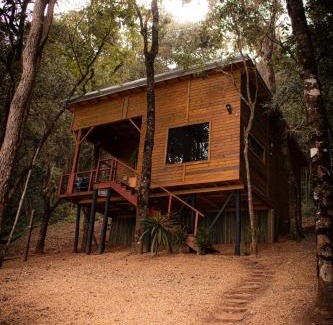 Cambui Ski Chalet | Cabana das Árvores nos Olivais Santa Clara