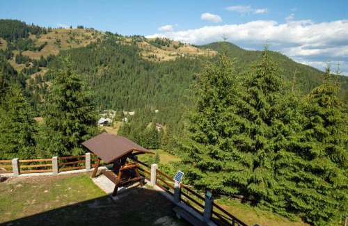 Arieseni Cabin | Cabana Denisa