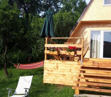 Pucioasa House | Cabana din livada