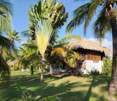 Monitos Apartment | Cabana Ferrer