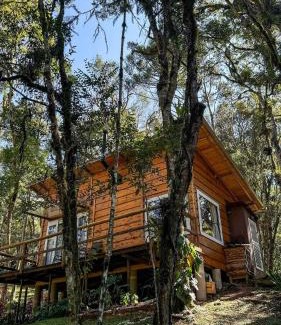 Campo Alegre House | Cabana hidromassagem Morada Alma Gêmea