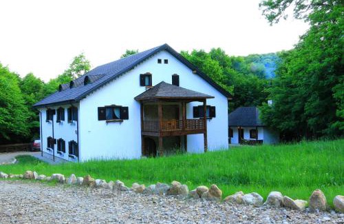 Izvoranu House | Cabana Izvoranu