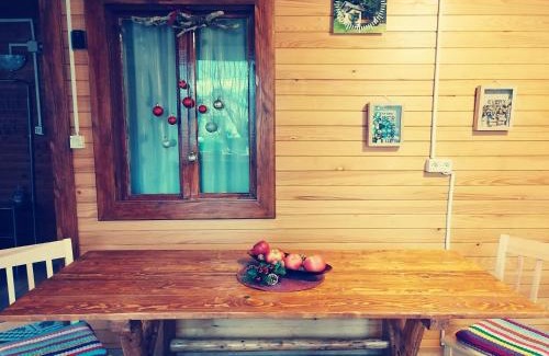 Tarcau House | Cabana La Bunici