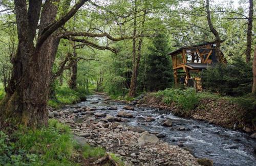 Sovata House | Cabana La Cuib Sovata