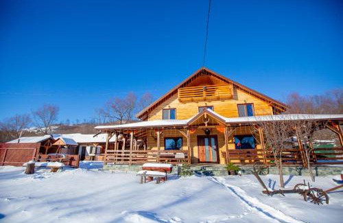 Minastirea Neamt Villa | Cabana Lunca