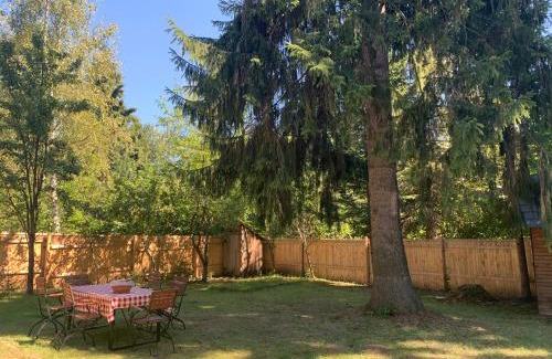 Izvoru Muresului Apartment | Cabana Munte la Izvoru Muresului