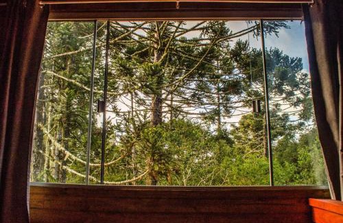 Cambara do Sul Cabin | Cabana na Floresta Rincão do Fortaleza