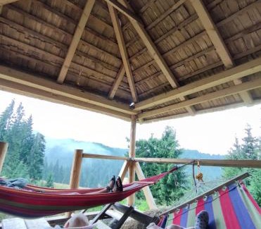 Budesti Cabin | Cabana Paulownia