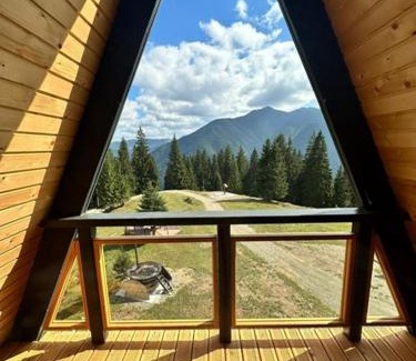 Cozanesti Ski Chalet | Cabana Piatra Codrilor