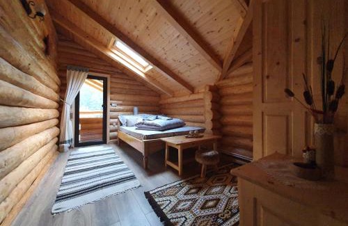 Valea Moldovei House | Cabana Raisa