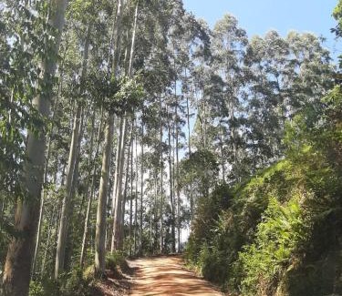 Anitapolis Ski Chalet | Cabana Refúgio das Águas