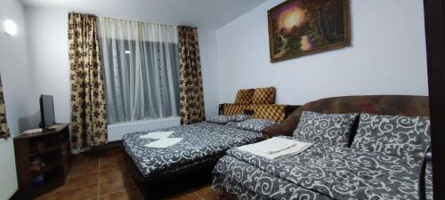 Fildu de Jos Cabin | Cabana Steaua Nordului 2