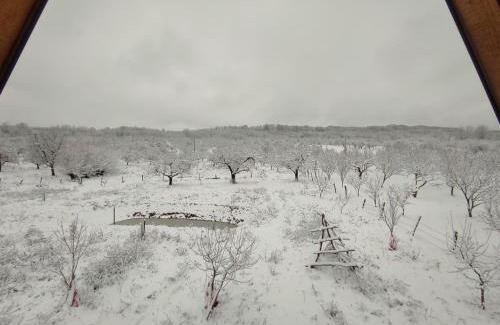 Mihaesti Ski Chalet | Cabana Teo&Matei
