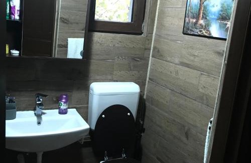 Visinesti House | Cabana Trei Brazi Dambovita