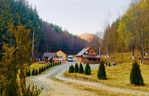 Zlatna Other | Cabana valea lunga