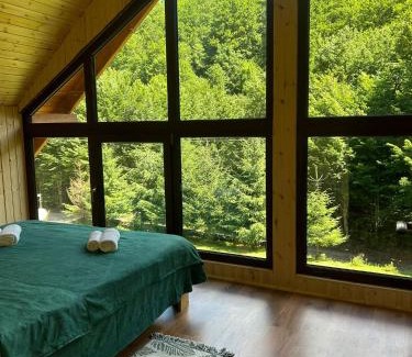 Budureasa House | Cabana Verde