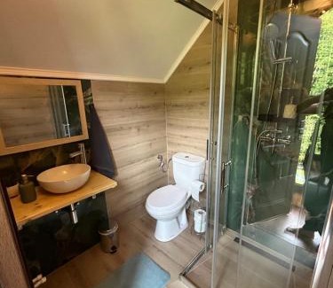 Budureasa House | Cabana Verde
