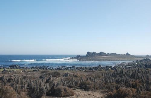 Punta de Choros Apartment | Cabanas Las Hualas