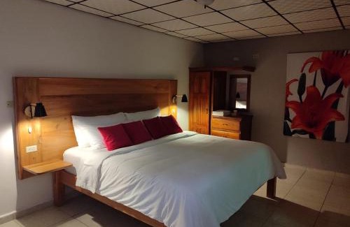 Volcan Apartment | cabanas las molas