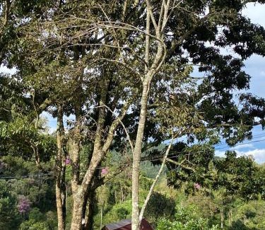 Campista Ski Chalet | Cabanas na Montanha 2