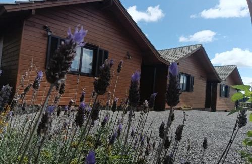 Cambara do Sul Cabin | Cabanas Ninho dos Pássaros