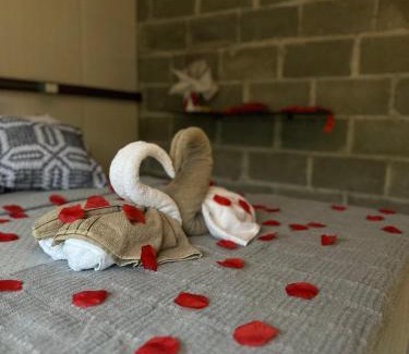 Tarituba Cabin | Cabanas Saruê - Ninho