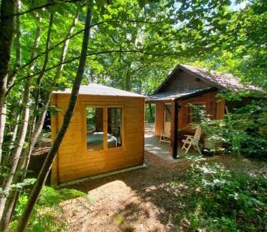 Rouffignac-Saint-Cernin-de-Reilhac Apartment | Cabane des bois