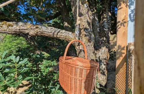 Saint-Paulien Bed & Breakfast | Cabane perchée romantique avec climatisation à St Paulien - FR-1-582-535