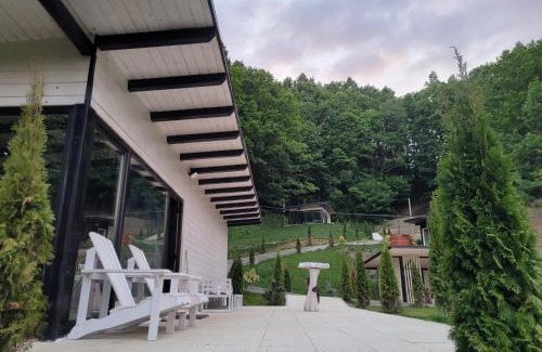 Birsana Cabin | Cabanele din Valea Ursului