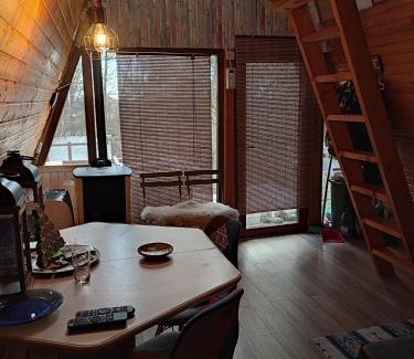 Biltisoara Ski Chalet | CabanuțA Young Valley