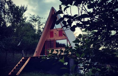 Biltisoara Ski Chalet | CabanuțA Young Valley