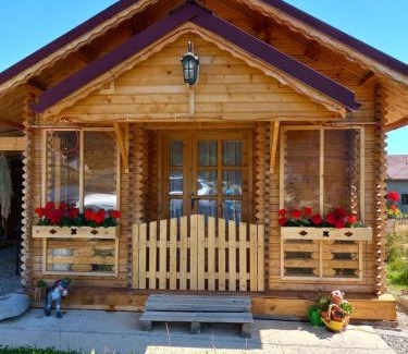 Bran Ski Chalet | Cabanuta Casuta din Povesti